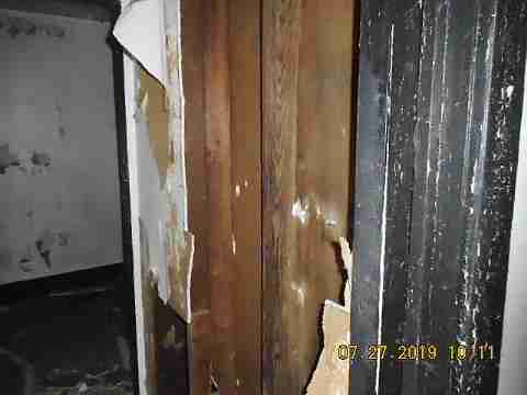 16737 Dolphin (21)_m.jpg